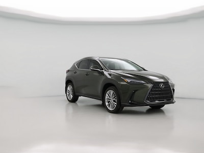 2024 Lexus NX 350 Luxury -
                Overland Park, KS