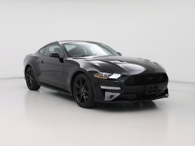 2019 Ford Mustang  -
                Louisville, KY
