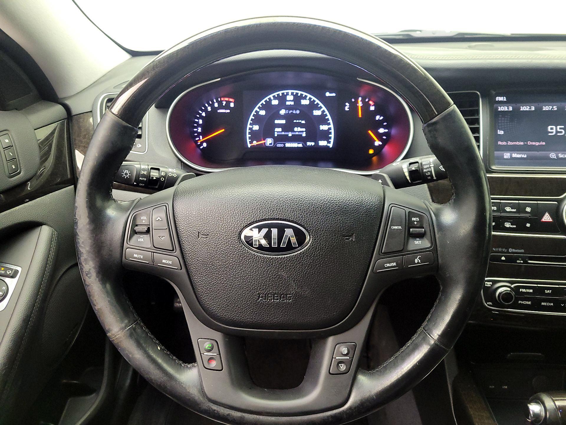 Thumbnail: 2014 Kia Cadenza - 10