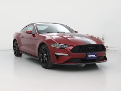 2019 Ford Mustang  -
                East Haven, CT