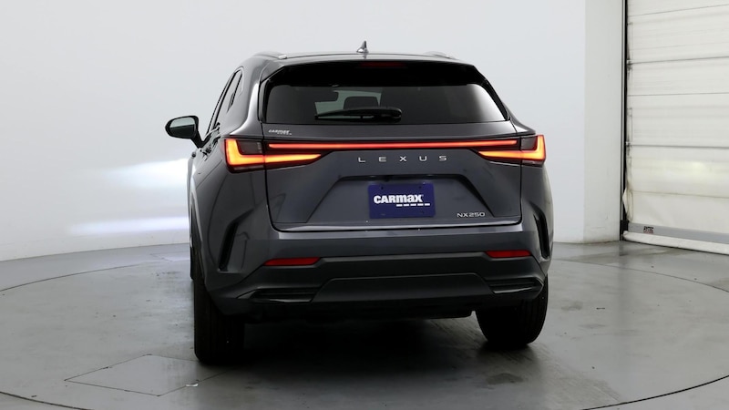 2023 Lexus NX 250 6