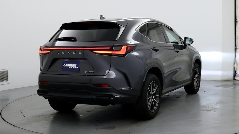 2023 Lexus NX 250 8