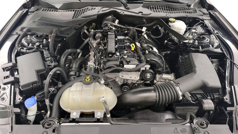2021 Ford Mustang  19