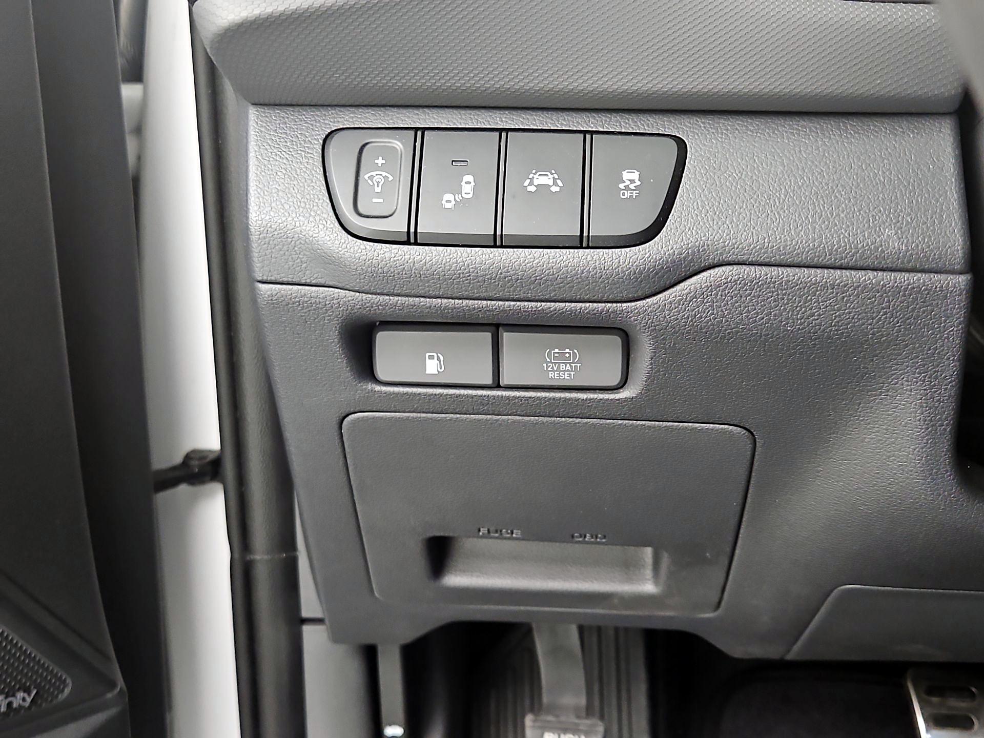 Thumbnail: 2019 Hyundai Ioniq - 13