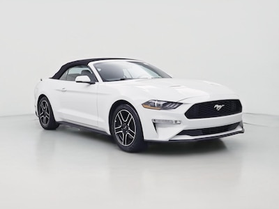 2019 Ford Mustang  -
                Sanford, FL