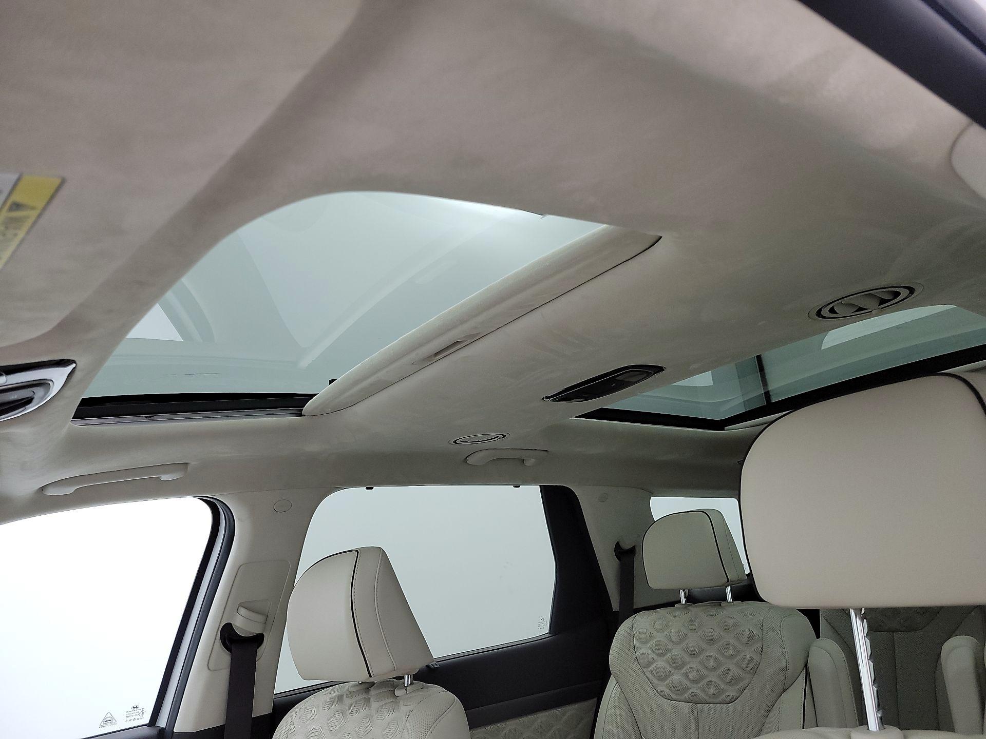 Thumbnail: 2020 Hyundai Palisade - 19