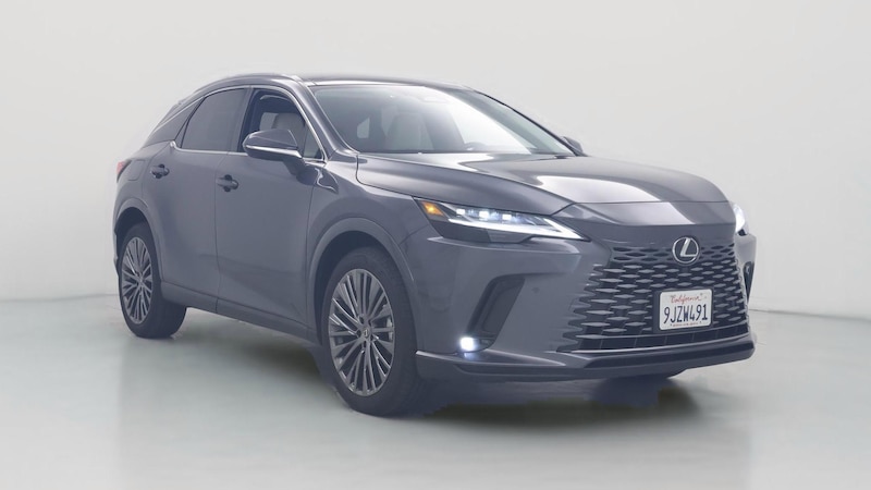 2024 Lexus RX  Hero Image