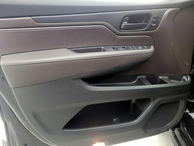 Driver Door Panel