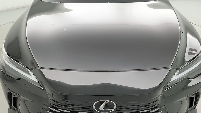 2023 Lexus RX Hybrid 350h Premium 2