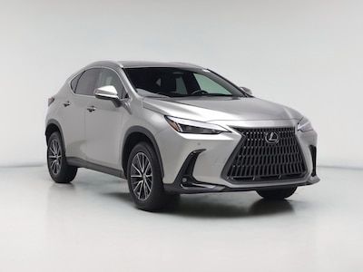 2024 Lexus NX 250 -
                Charleston, SC