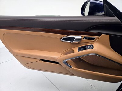 Driver Door Panel