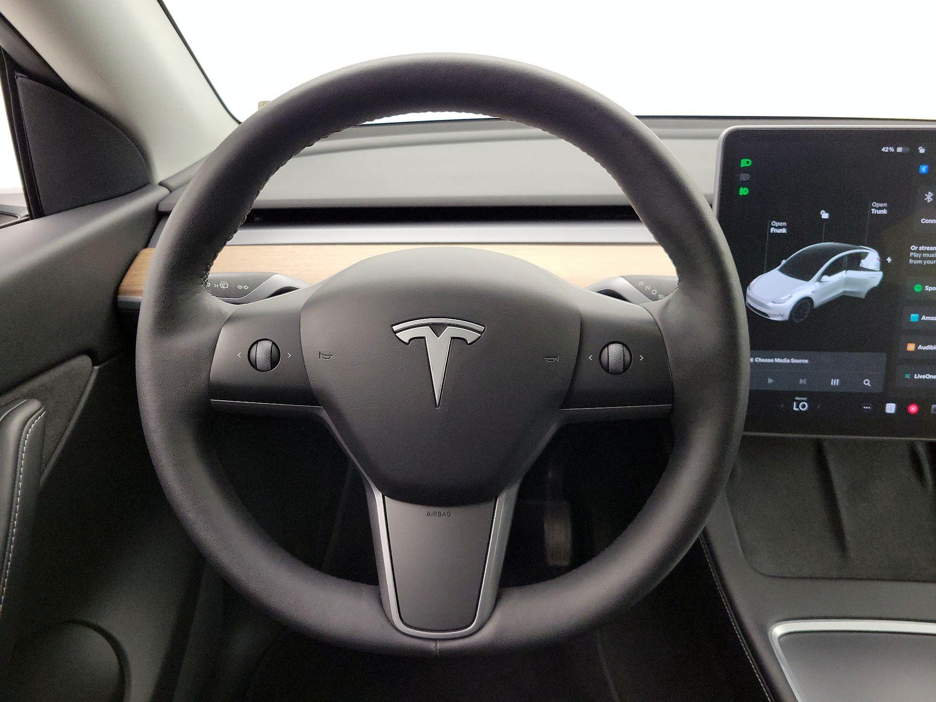 Thumbnail: 2022 Tesla Model Y - 10