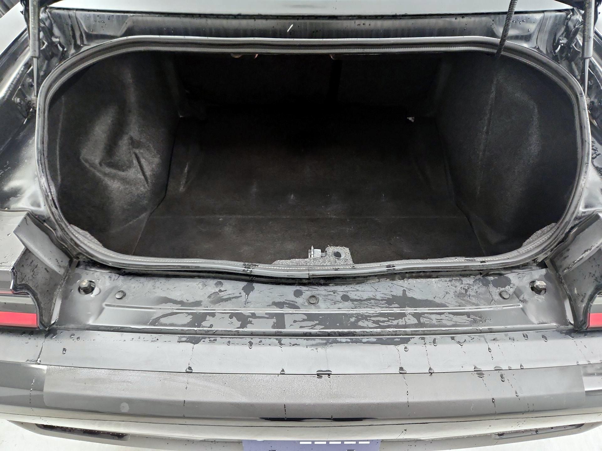 Thumbnail: 2019 Dodge Challenger - 20