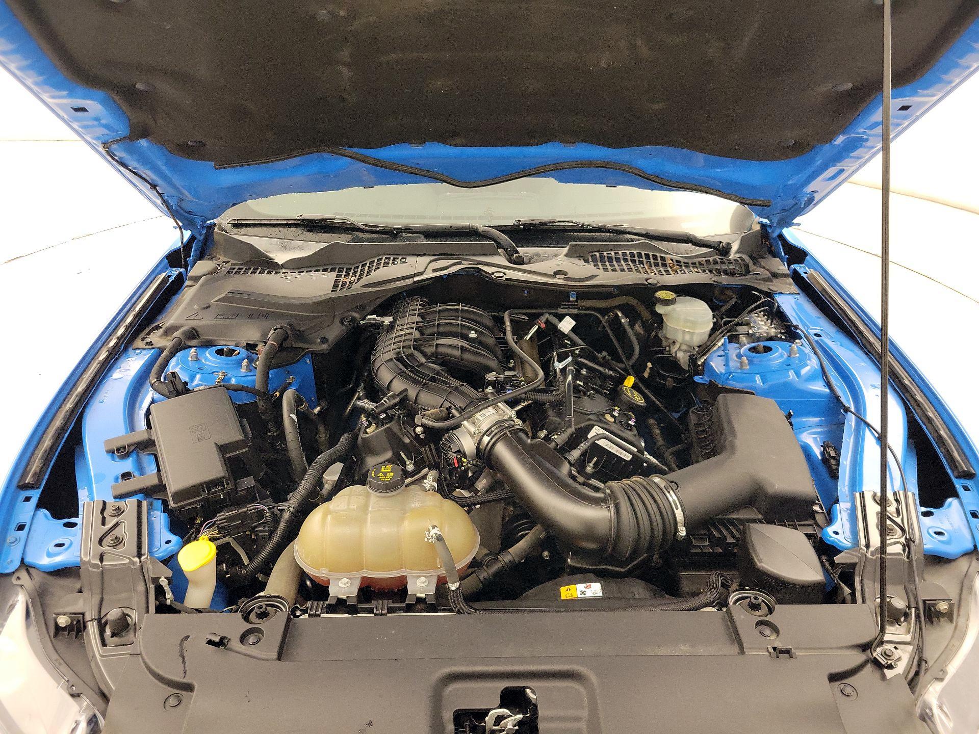 Thumbnail: 2017 Ford Mustang - 20