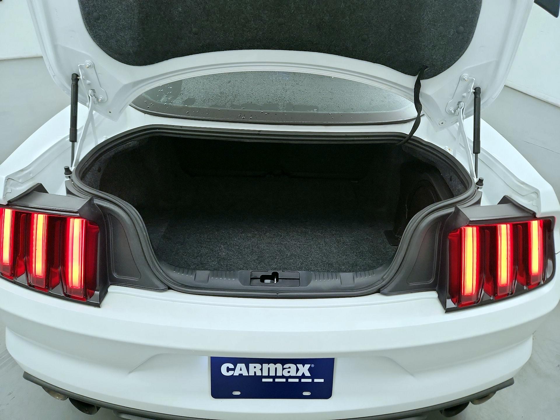 Thumbnail: 2019 Ford Mustang - 20
