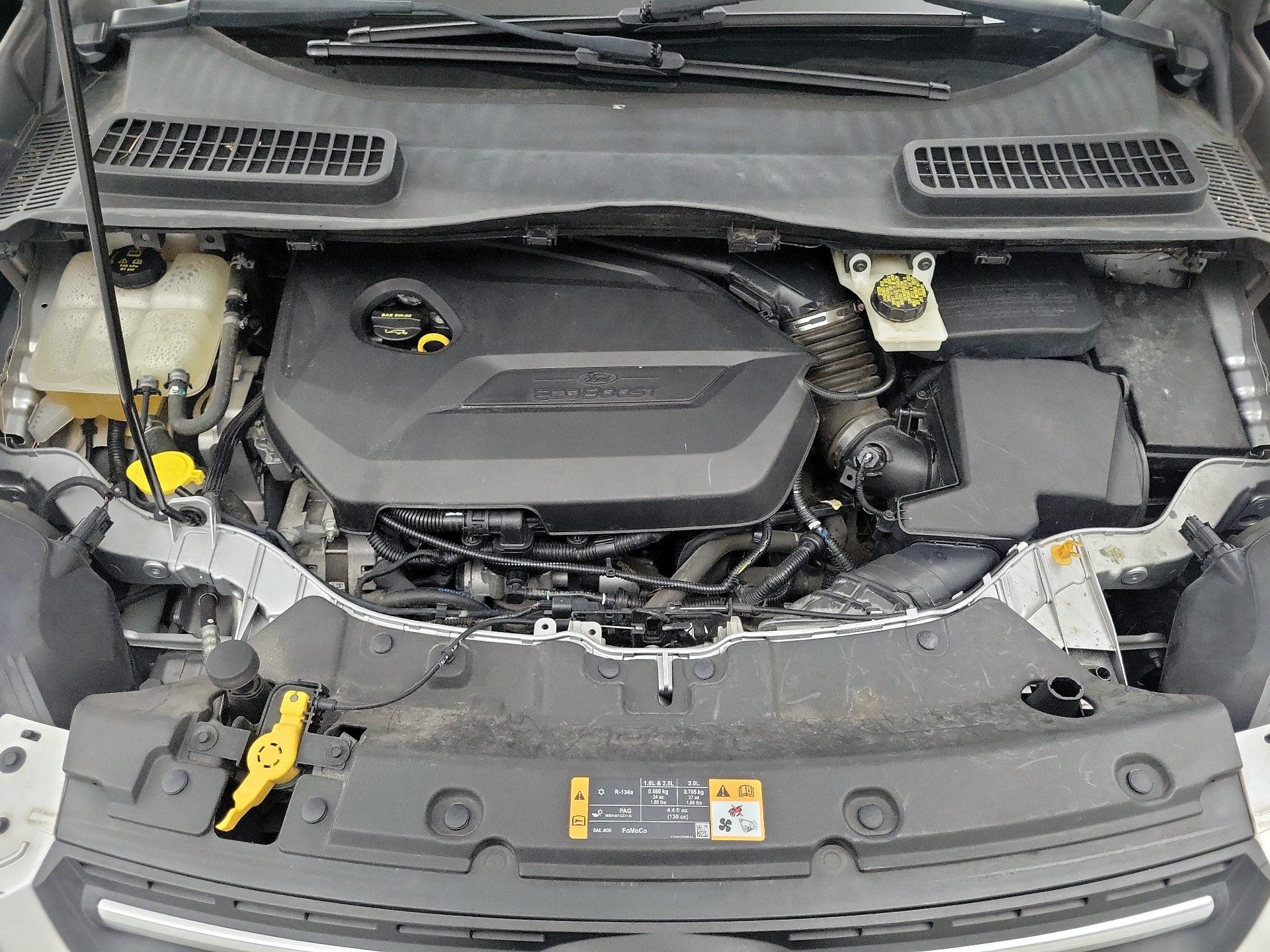 Thumbnail: 2014 Ford Escape - 19