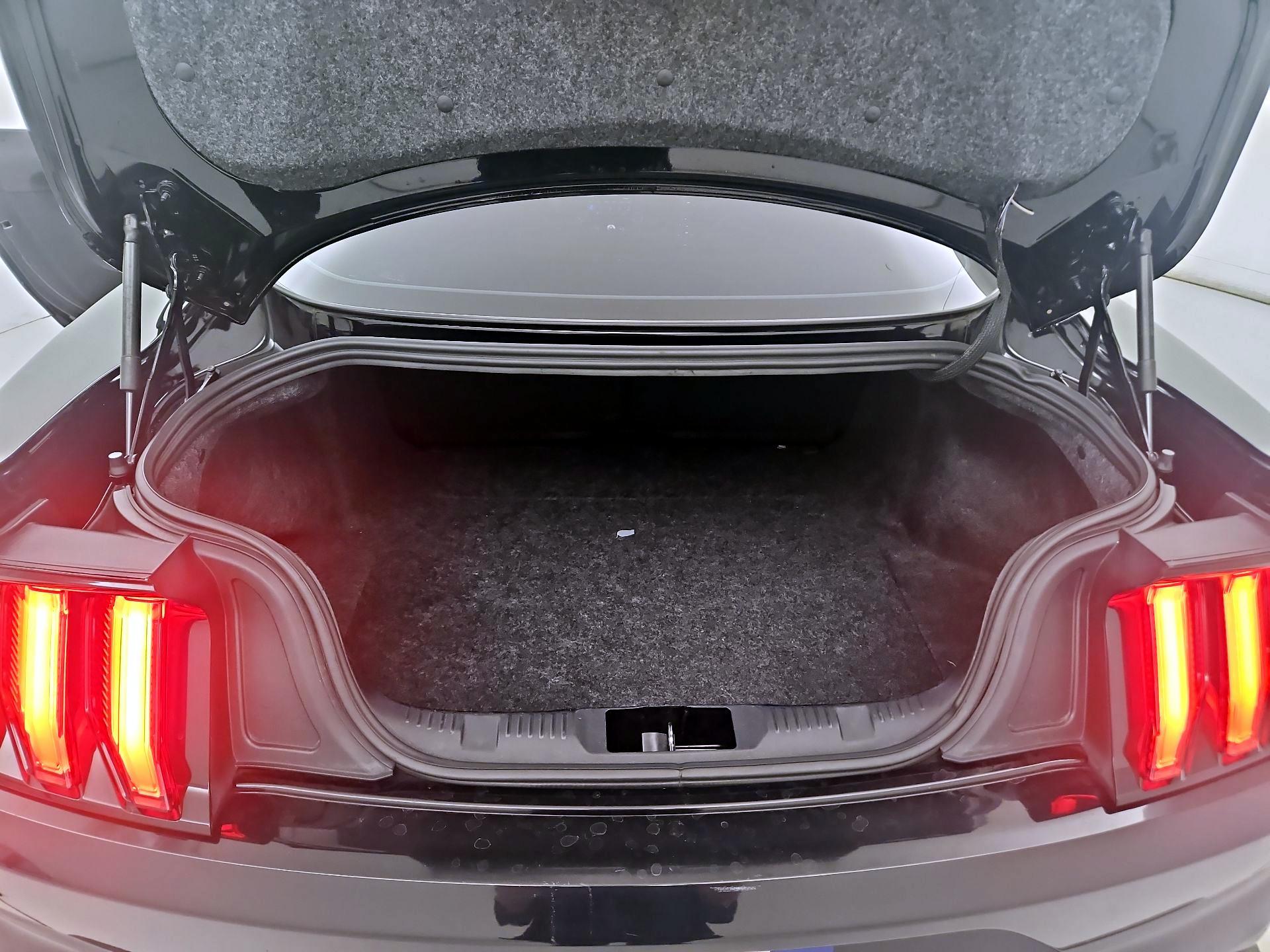 Thumbnail: 2019 Ford Mustang - 20