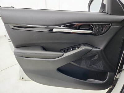 Driver Door Panel