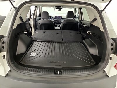 Trunk/Cargo (Seats Down)