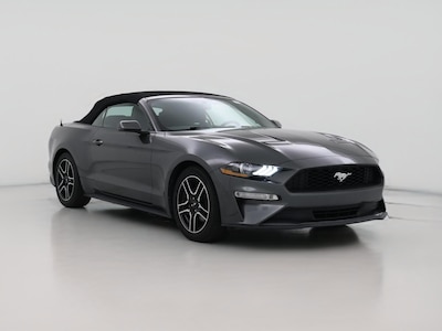Gray 2019 Ford Mustang Ecoboost Premium