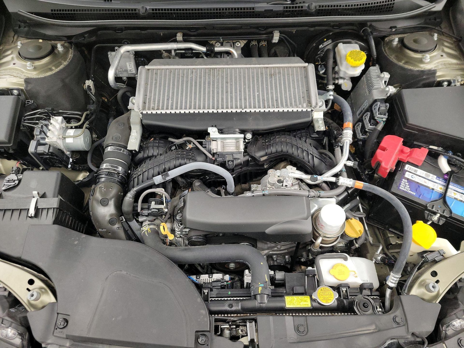 View 25