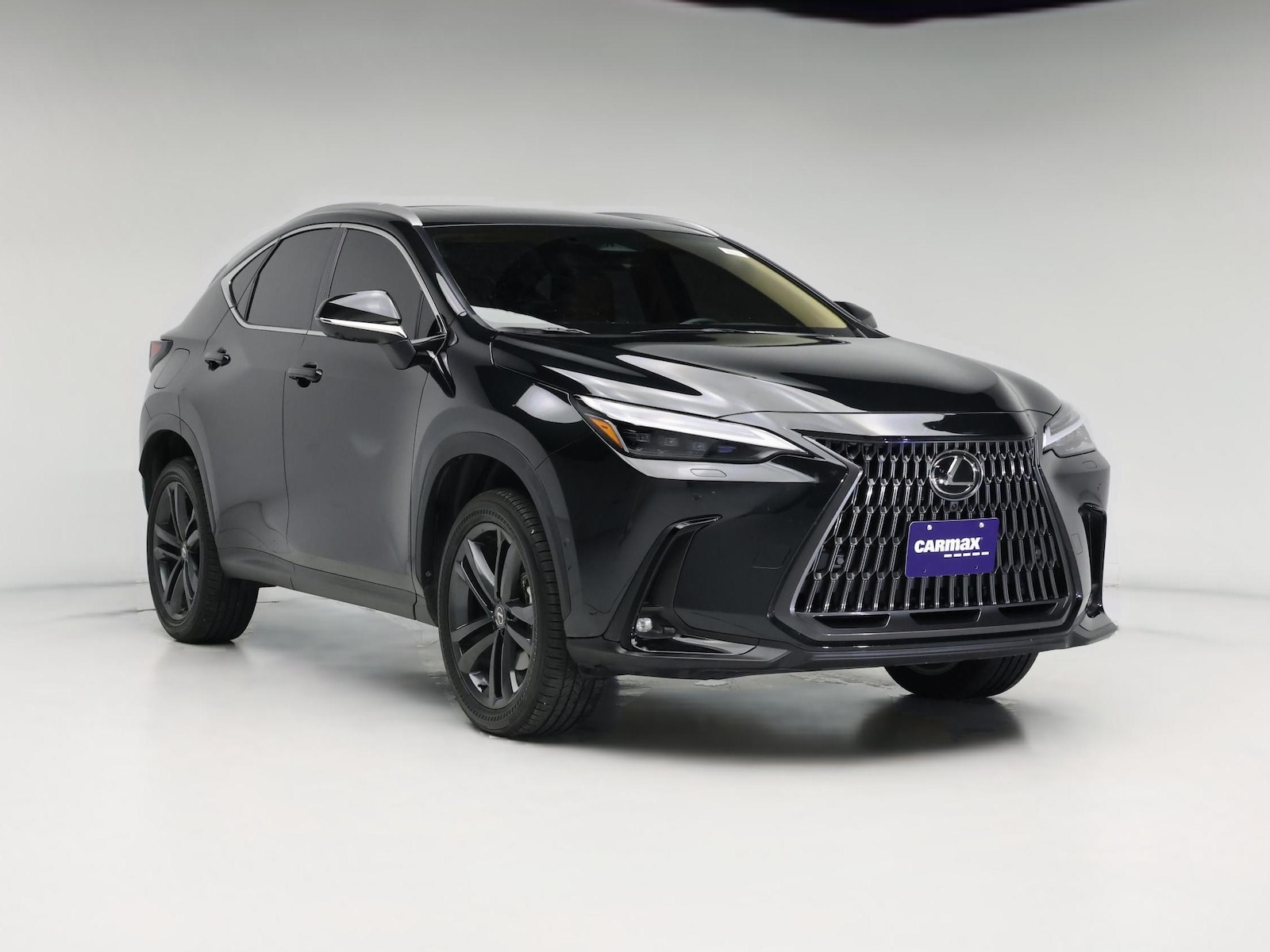 2025 Lexus NX