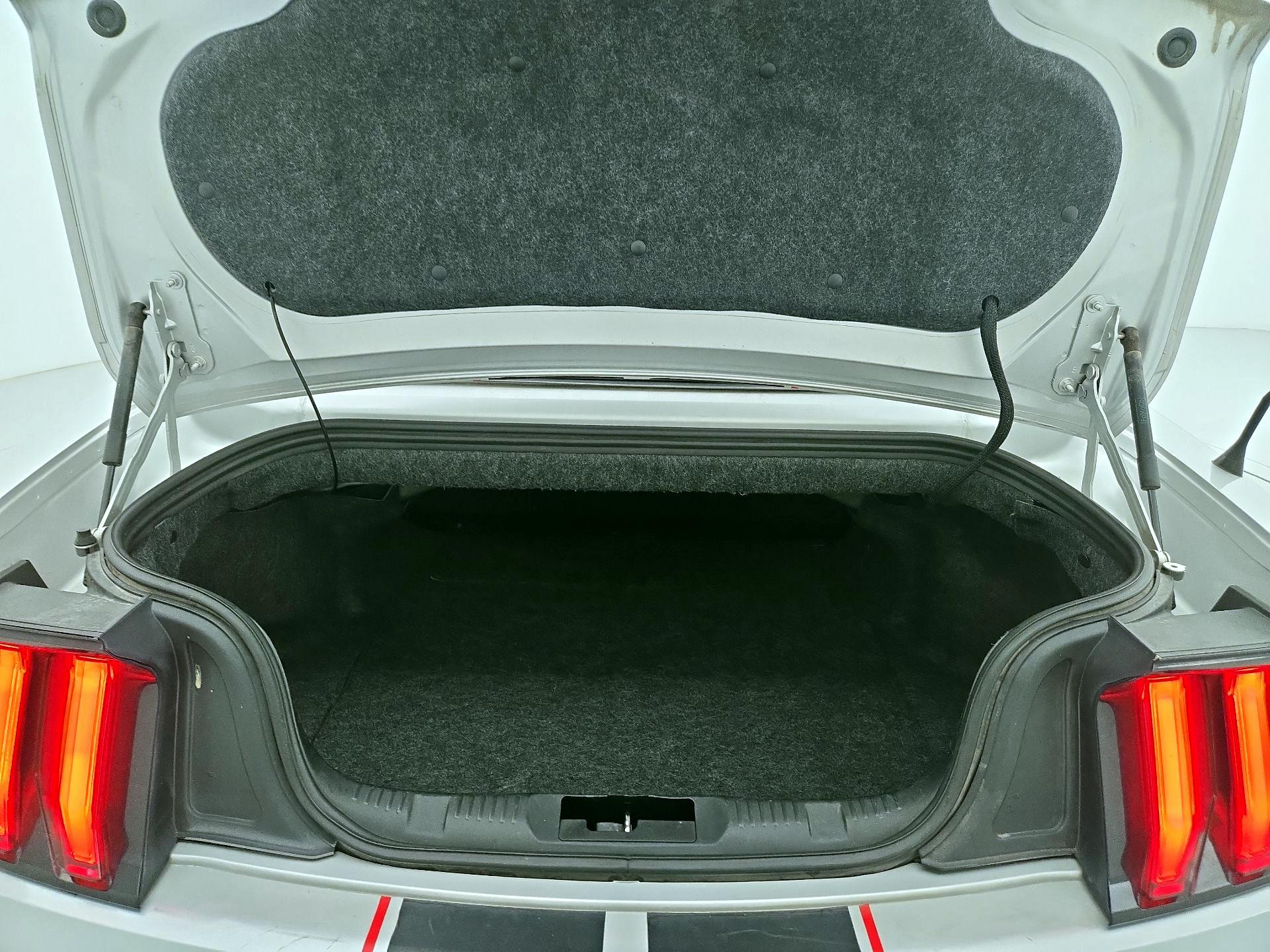 Thumbnail: 2018 Ford Mustang - 20