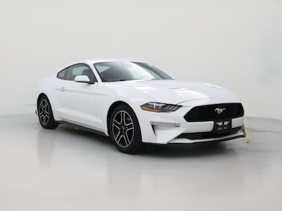 2023 Ford Mustang  -
                Norwood, MA