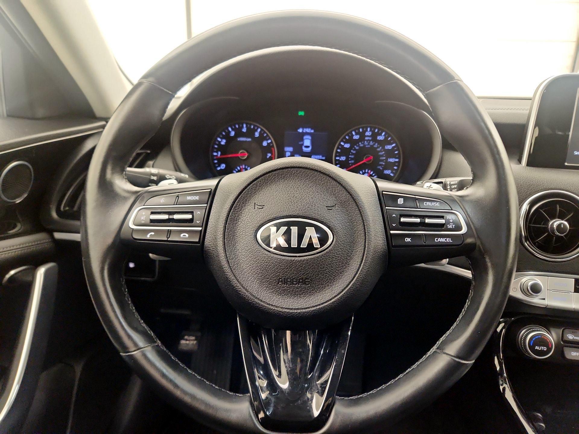 Thumbnail: 2019 Kia Stinger - 10