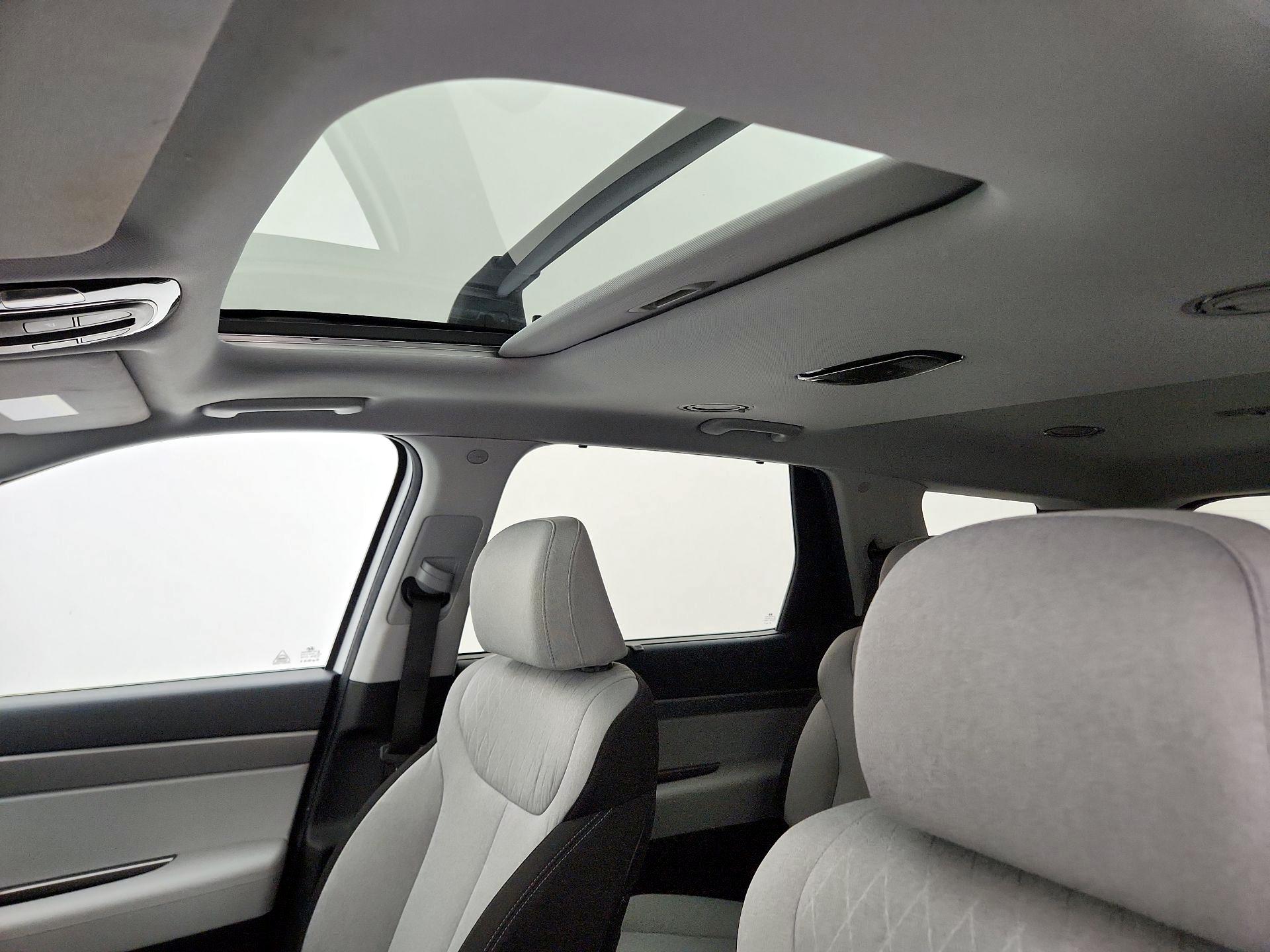 Thumbnail: 2020 Hyundai Palisade - 18