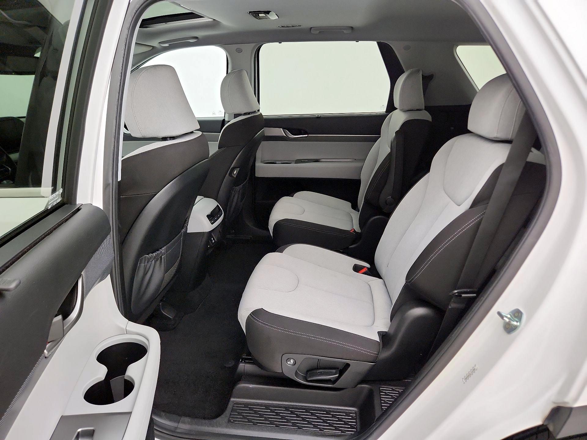 Thumbnail: 2020 Hyundai Palisade - 19