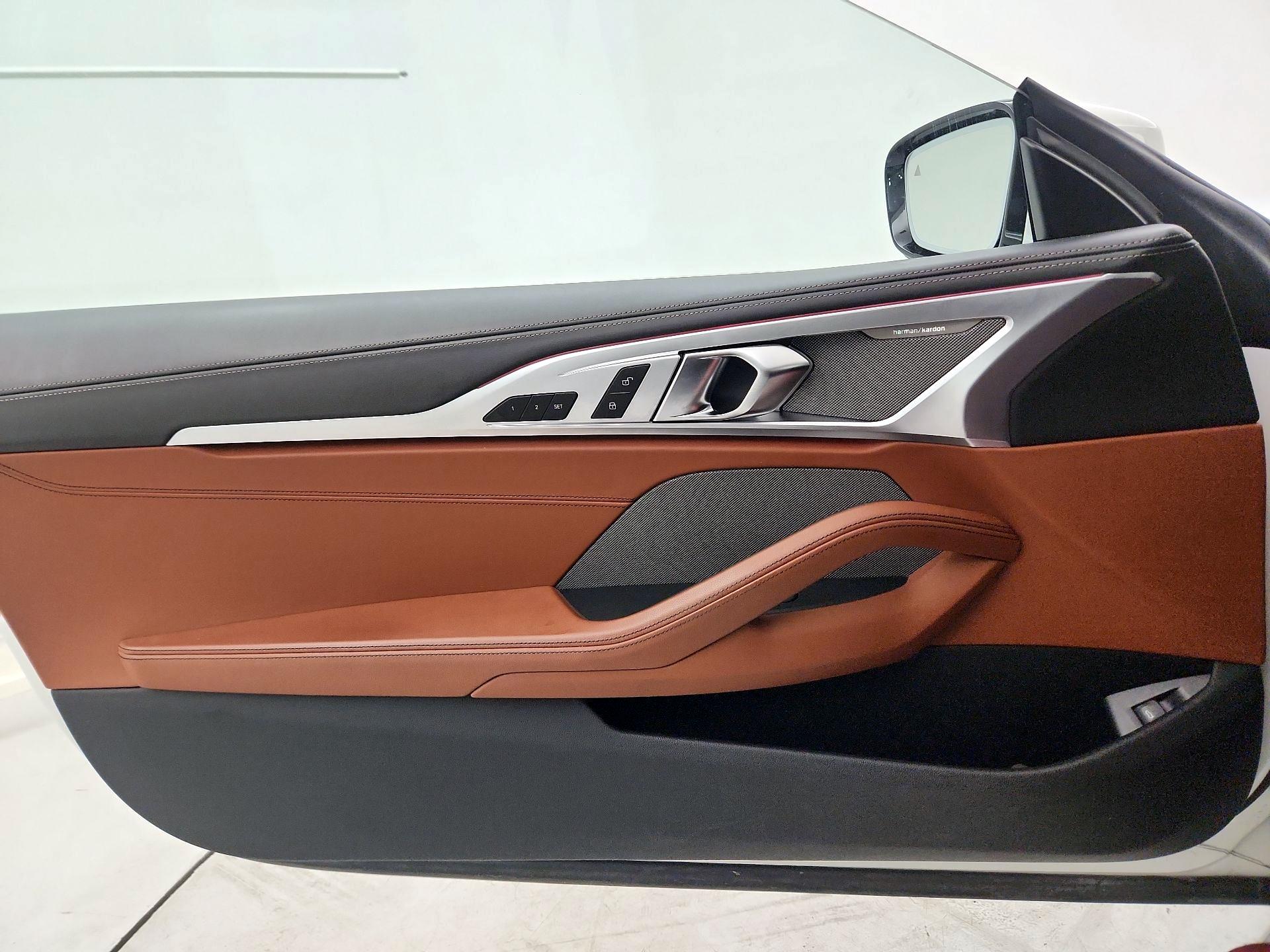 Thumbnail: 2020 BMW 8 Series - 10