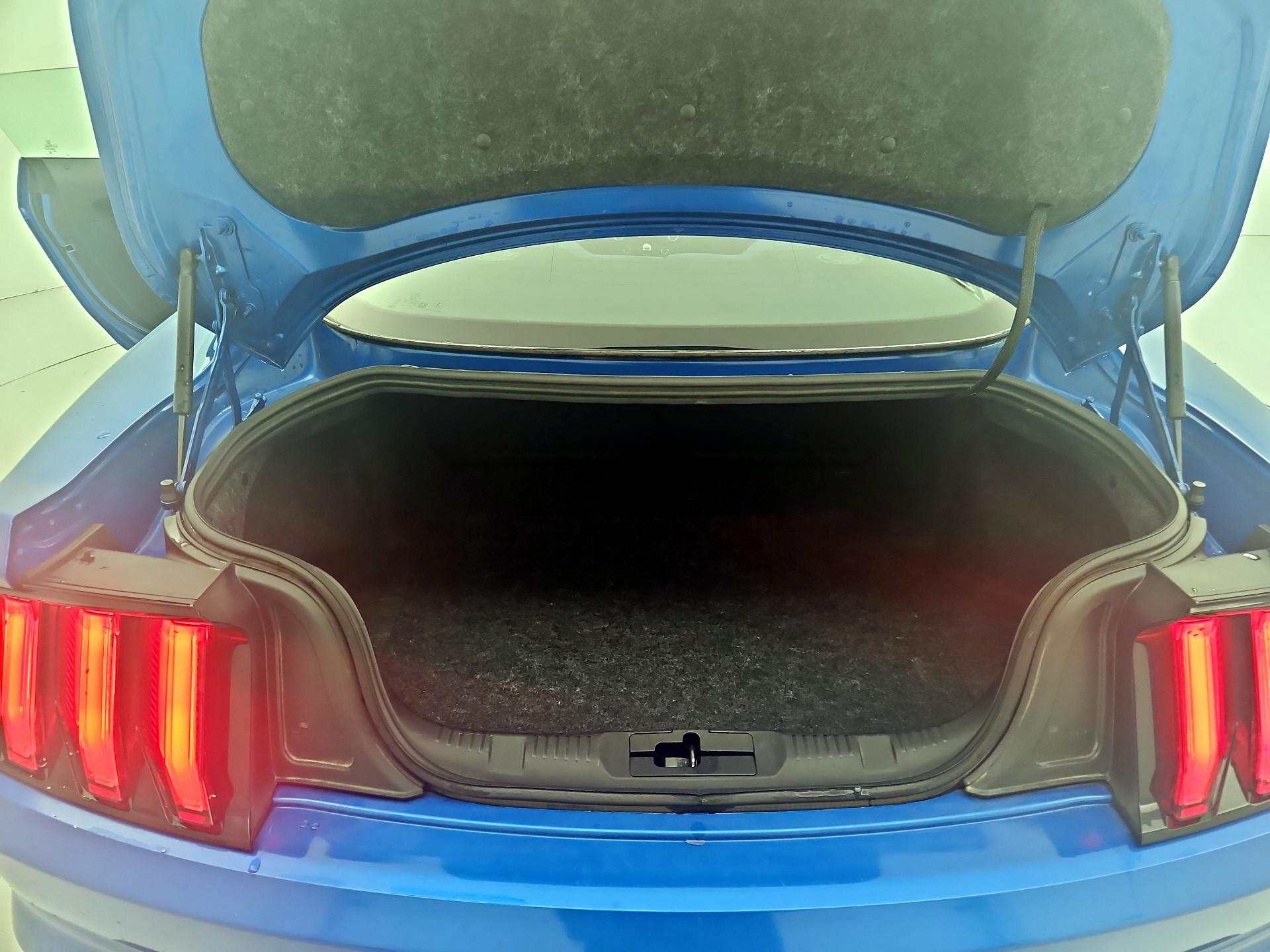 Thumbnail: 2019 Ford Mustang - 19