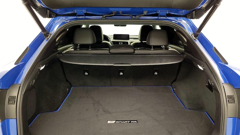 2021 Lexus RX 350 Sport Handling 22