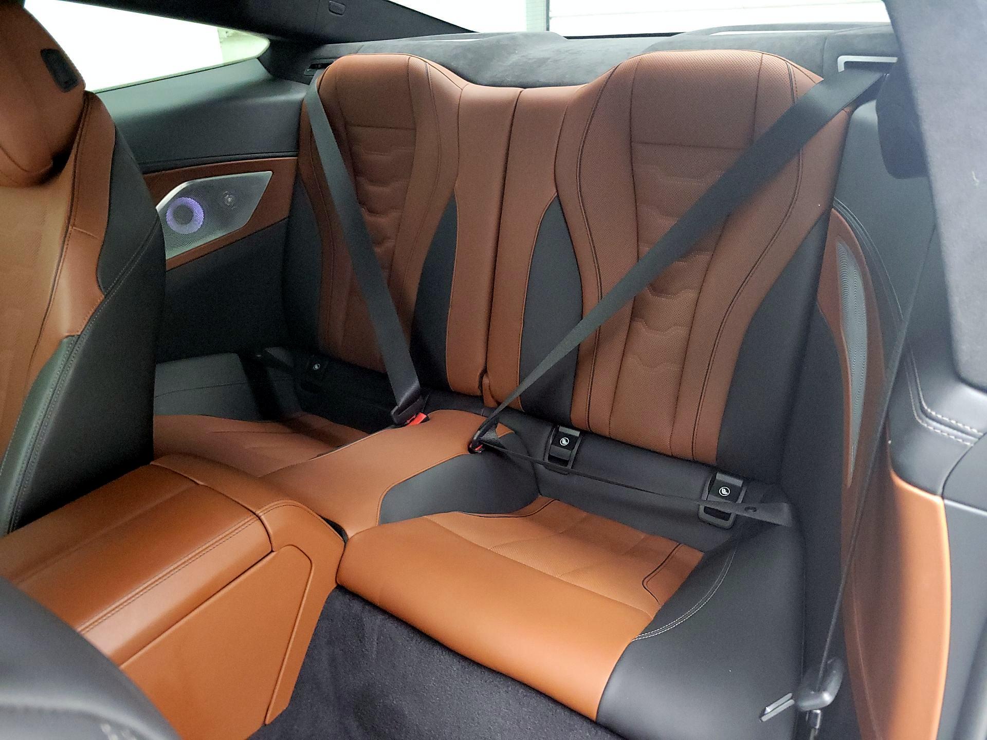 Thumbnail: 2019 BMW 8 Series - 20