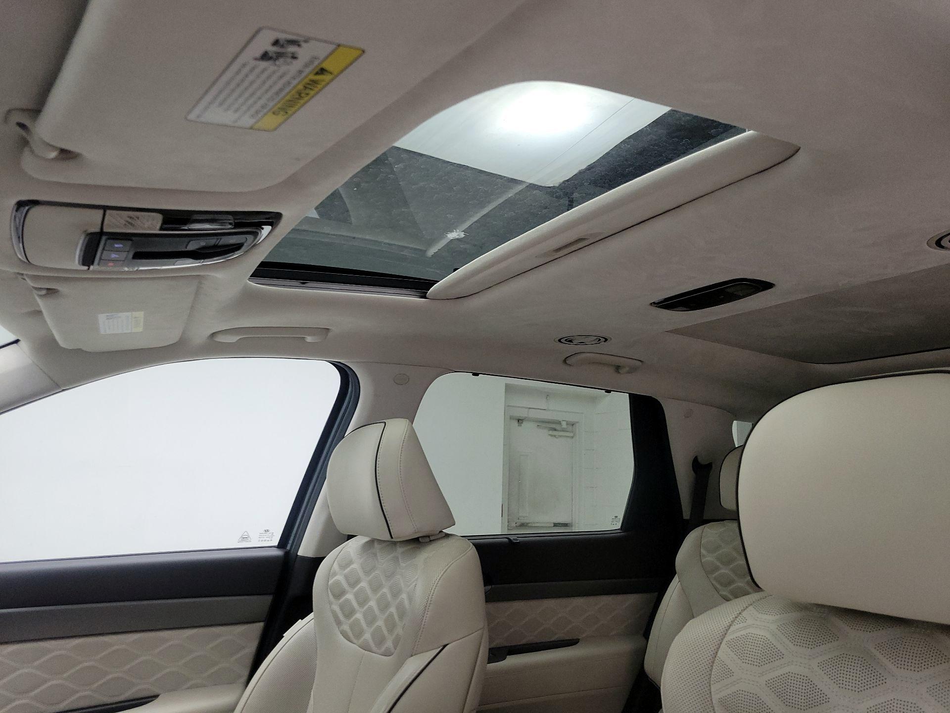 Thumbnail: 2020 Hyundai Palisade - 18