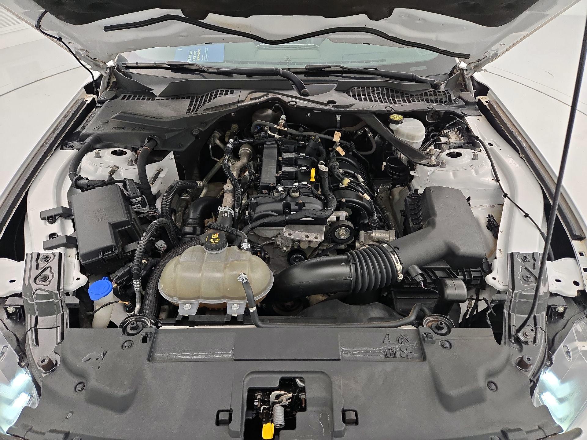 Thumbnail: 2021 Ford Mustang - 20