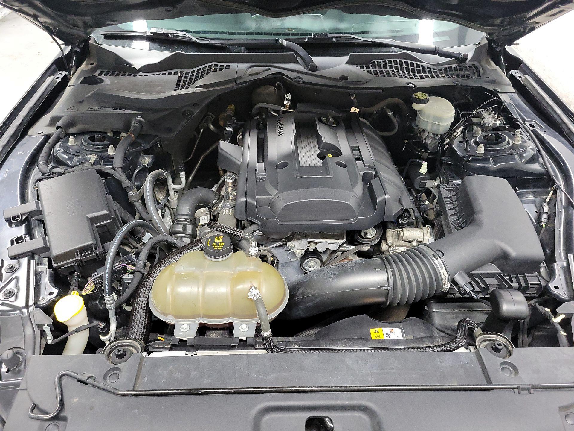 Thumbnail: 2015 Ford Mustang - 20