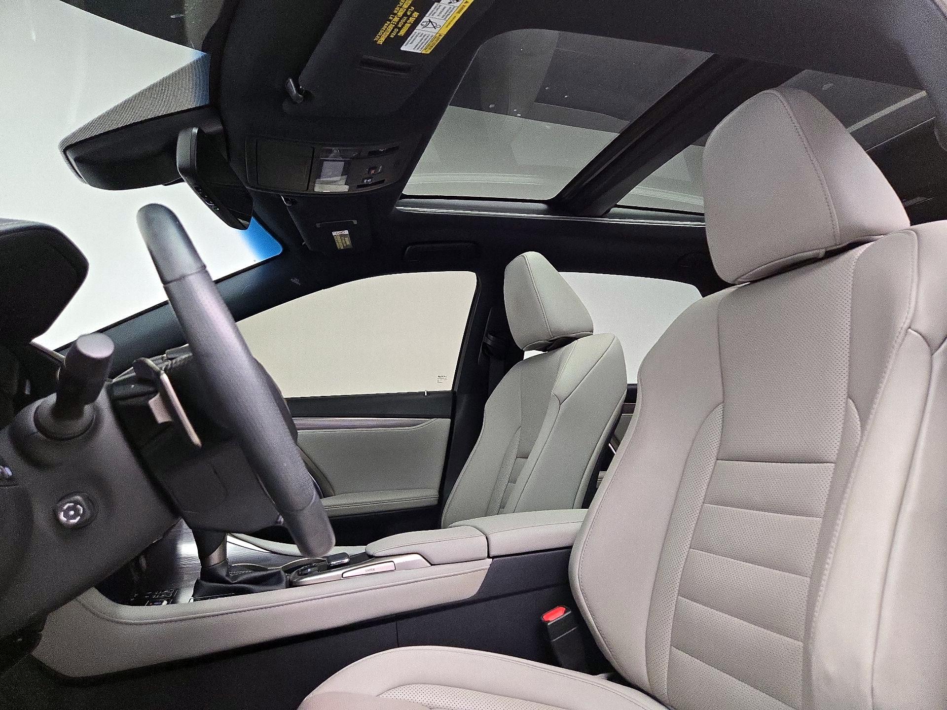 Thumbnail: 2019 Lexus RX - 20