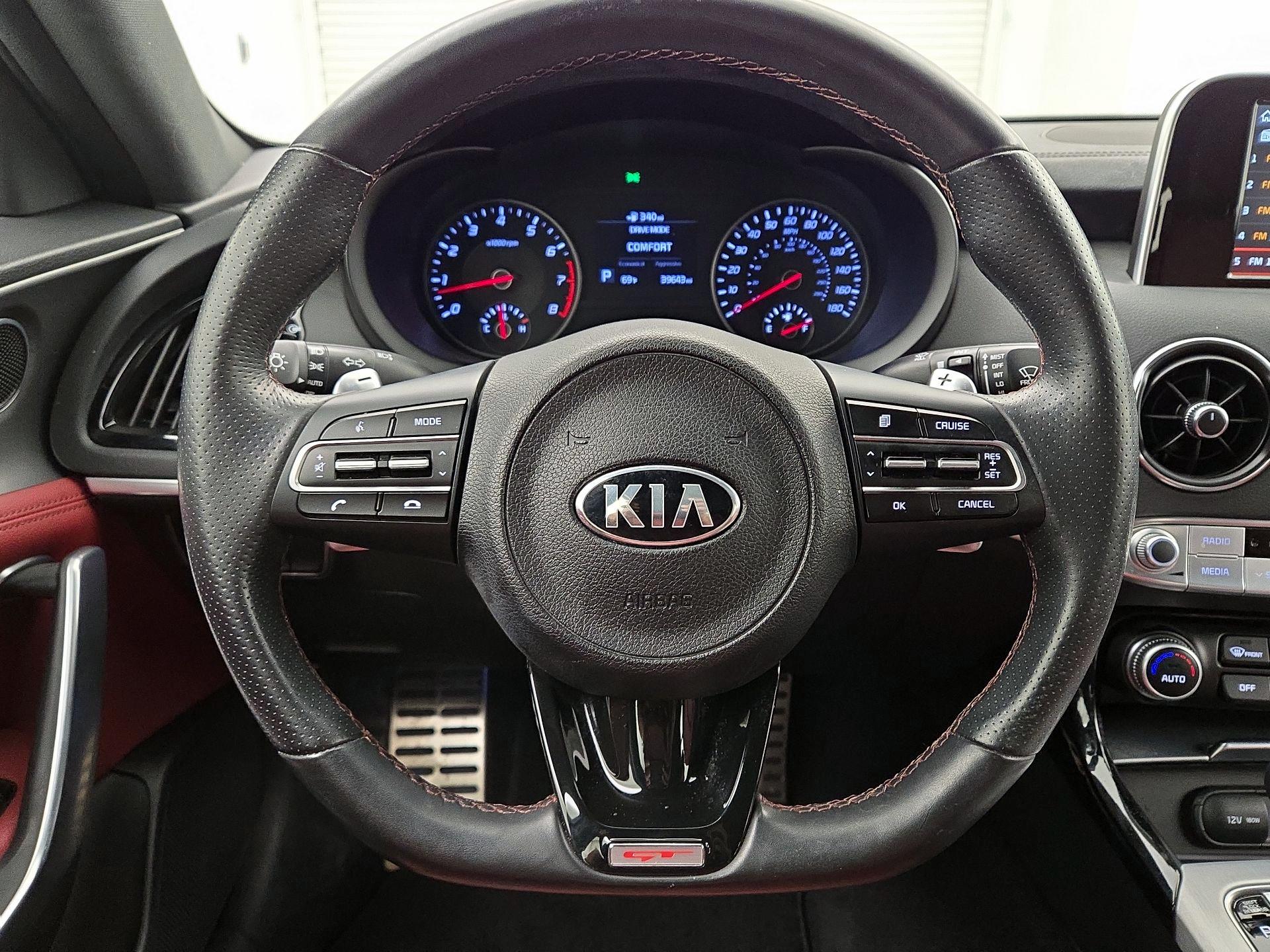Thumbnail: 2019 Kia Stinger - 10