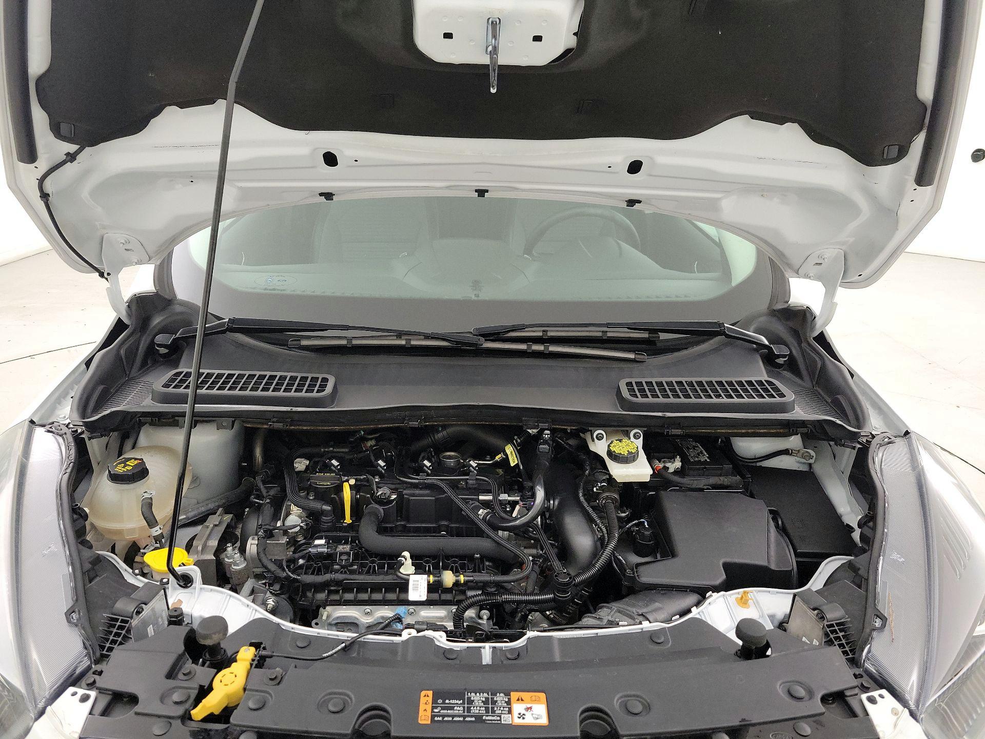 Thumbnail: 2019 Ford Escape - 20