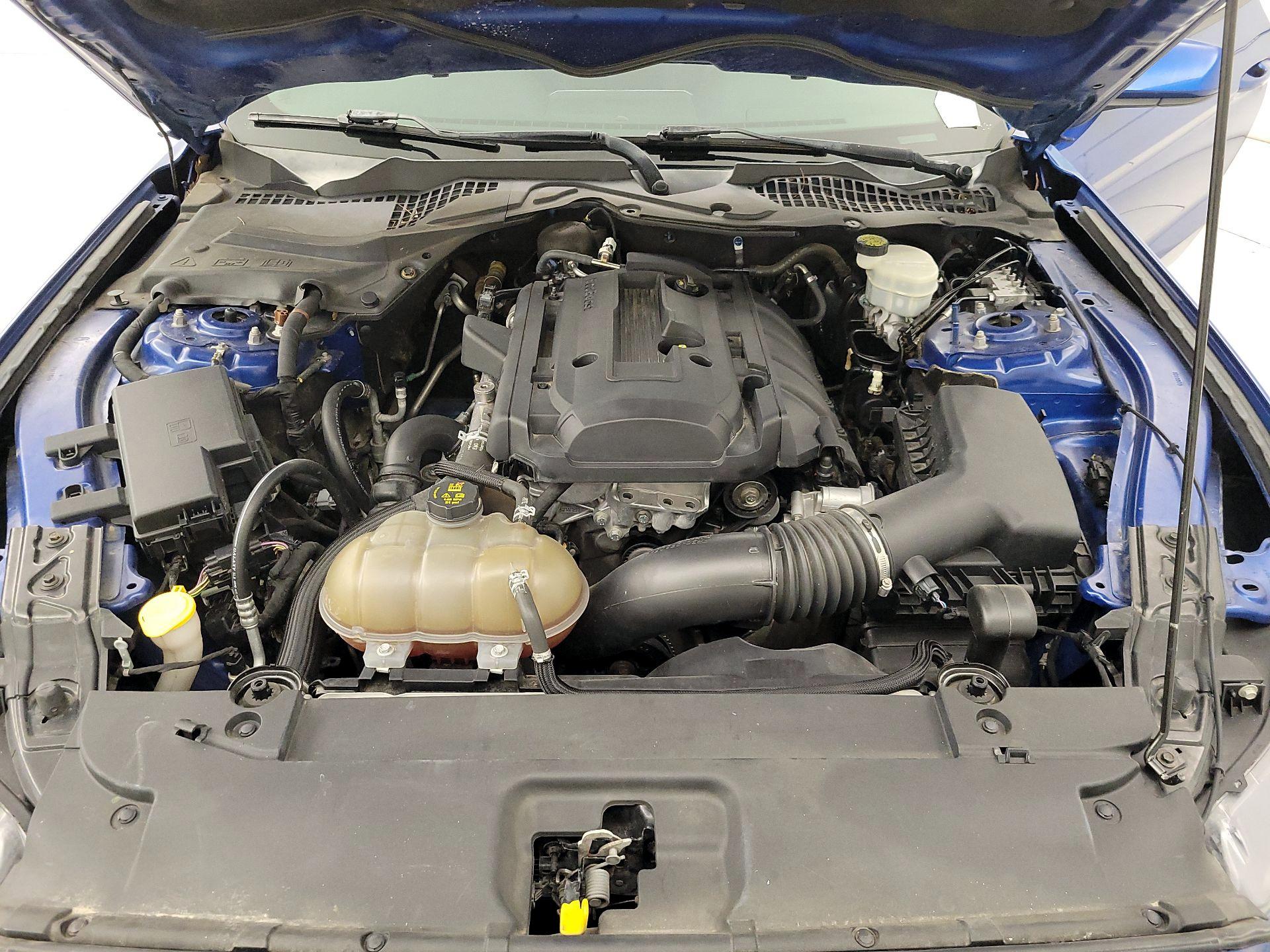 Thumbnail: 2017 Ford Mustang - 19
