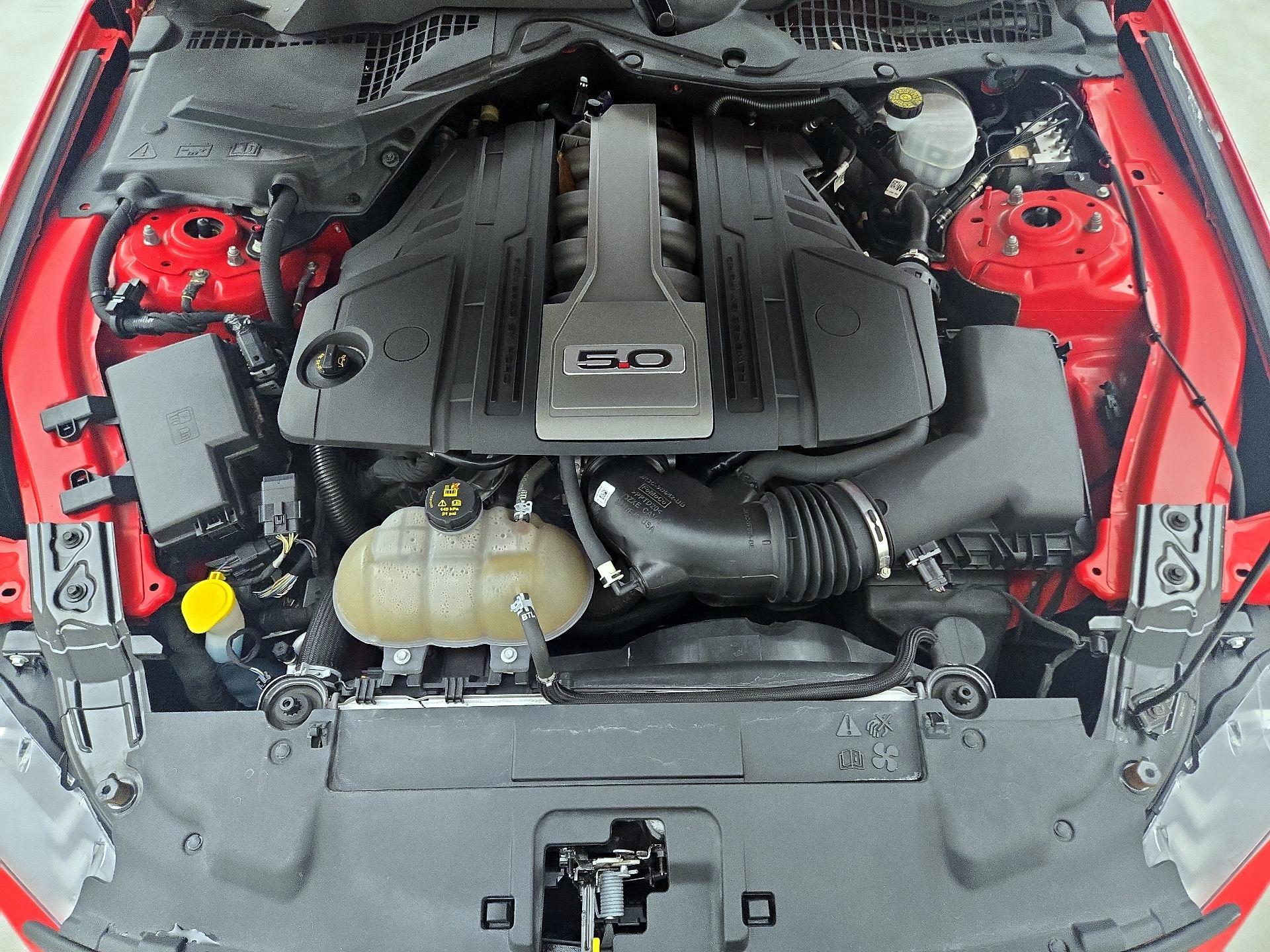Thumbnail: 2019 Ford Mustang - 20