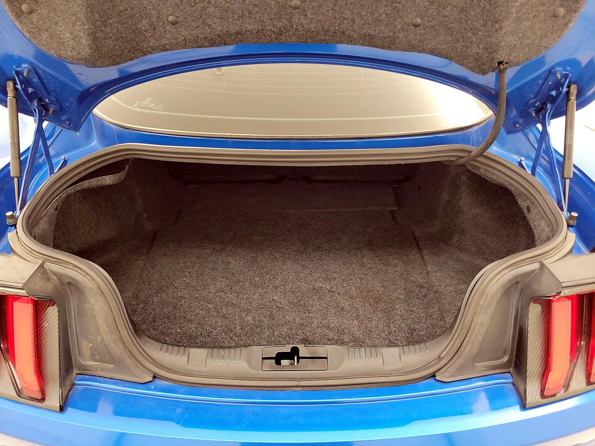 Thumbnail: 2019 Ford Mustang - 18
