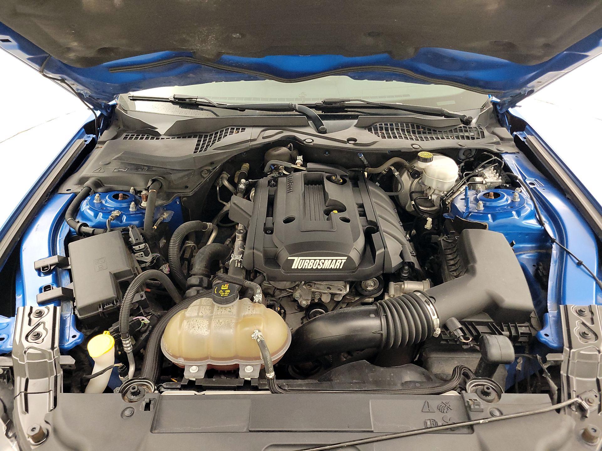 Thumbnail: 2019 Ford Mustang - 19