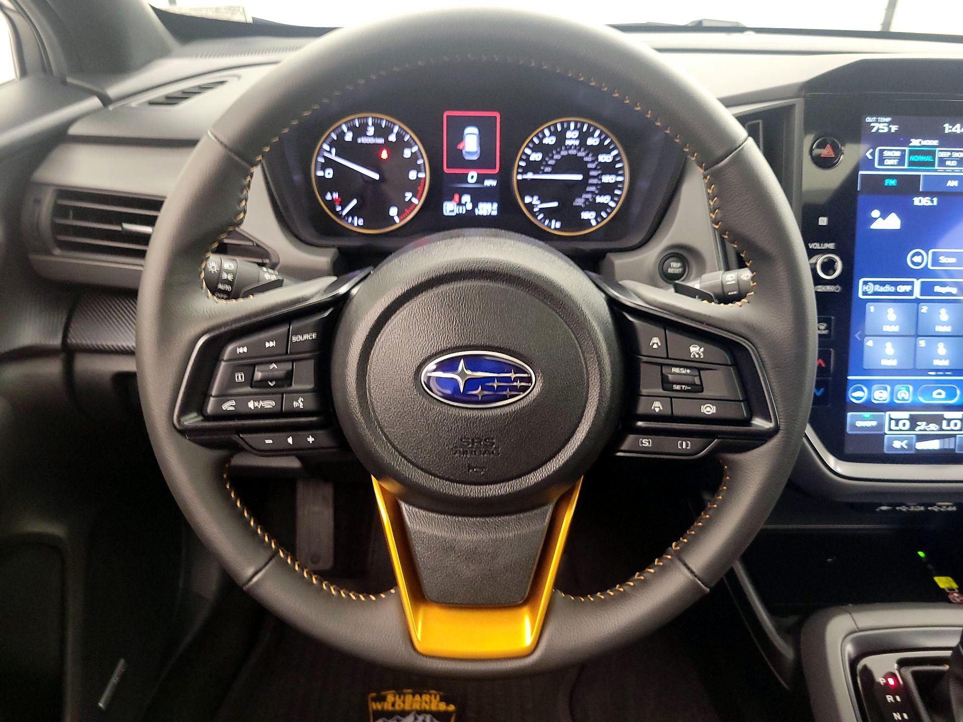 Thumbnail: 2024 Subaru Crosstrek - 10
