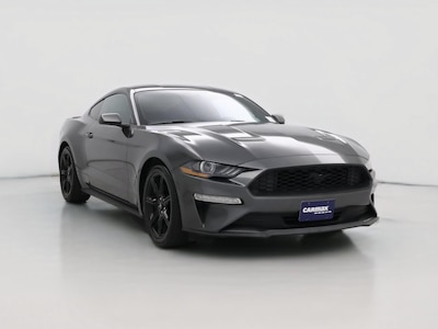 Gray 2019 Ford Mustang Ecoboost