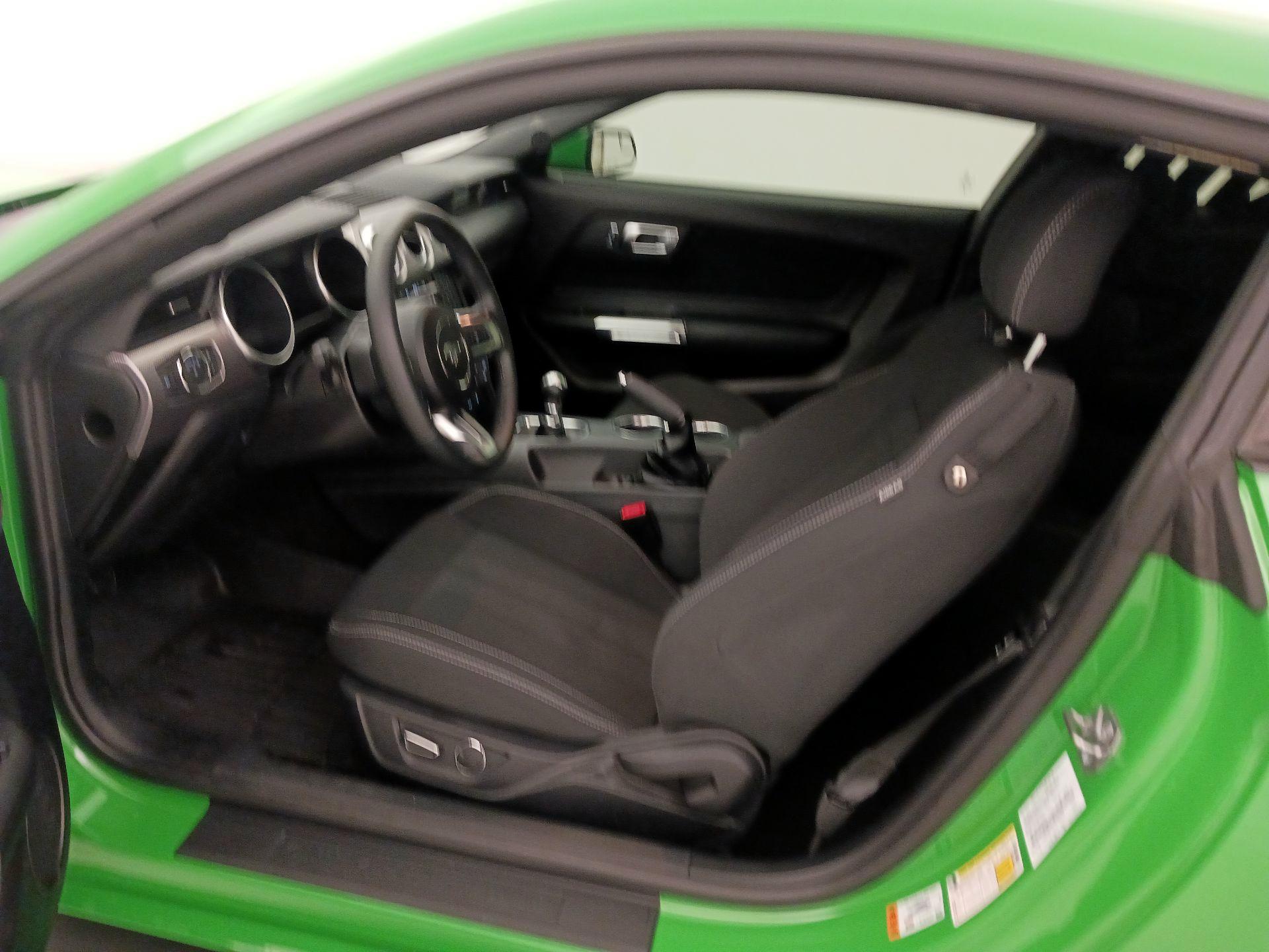 Thumbnail: 2019 Ford Mustang - 11