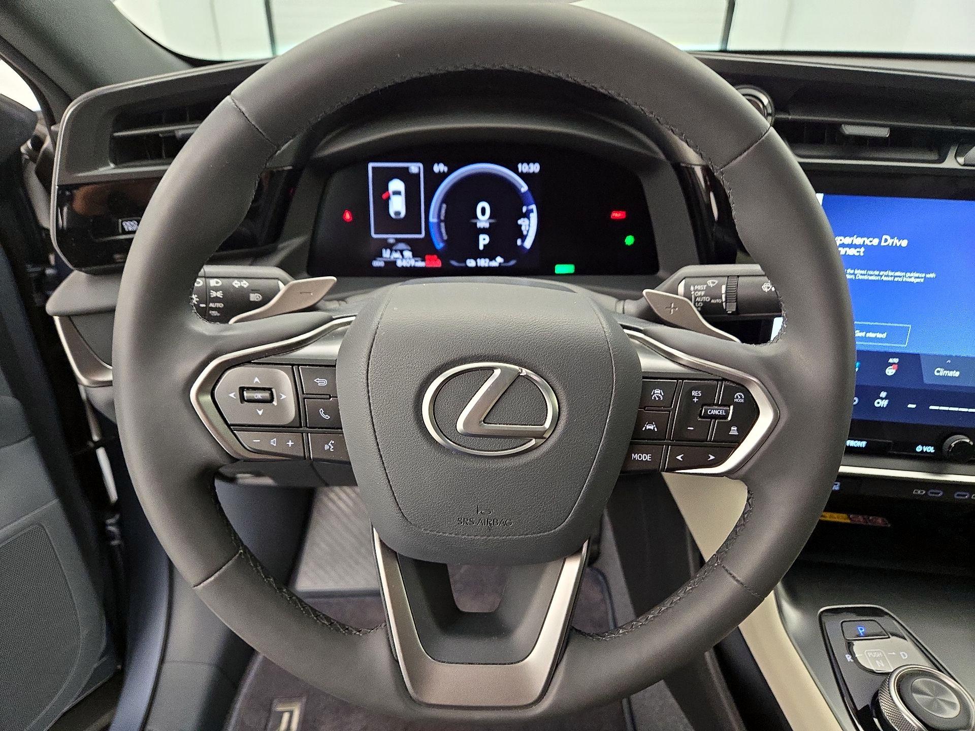 Thumbnail: 2024 Lexus RZ - 10