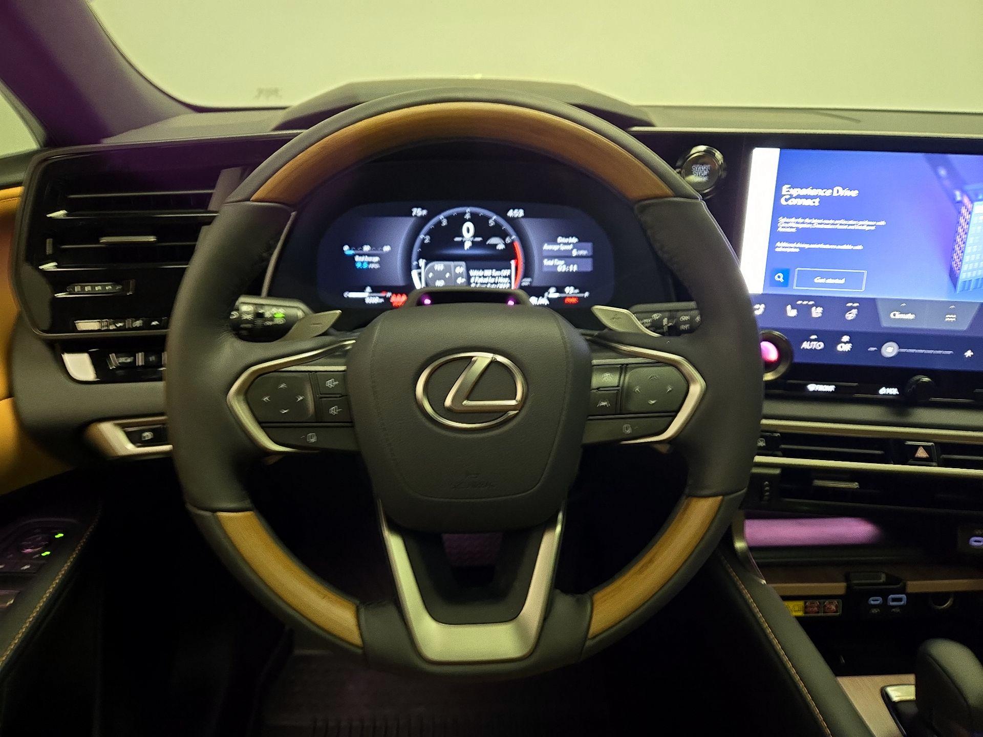 Thumbnail: 2025 Lexus RX - 10